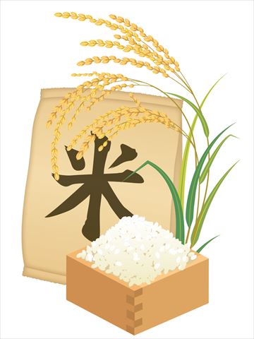 瓶で米を保存